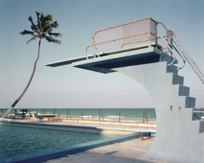 Joel Meyerowitz