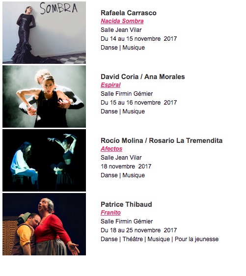 3e Biennale d'Art Flamenco